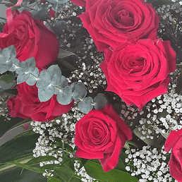 Pink or red roses in a dream explain meaning and interpret