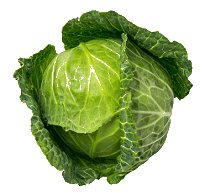 Dreams about green cabbage meaning interpretation