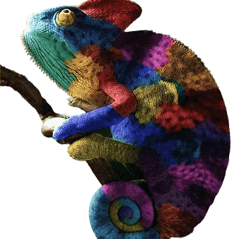Meaning of a dream about a lizard or chameleon