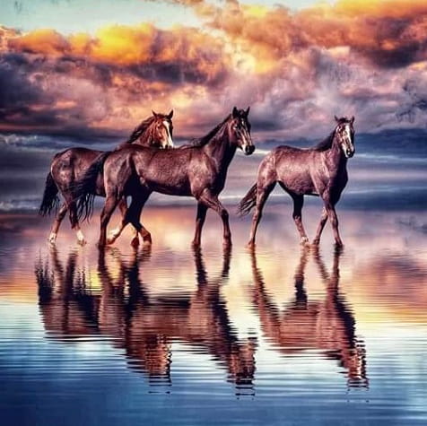 What does it mean to have a dream about horses near water
