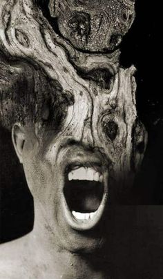 Dreams about dinosaurs