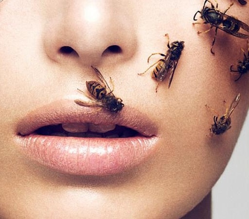 What does it mean to dream about wasps or bees