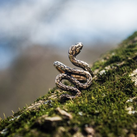 Seeing a snake in the garden meaning